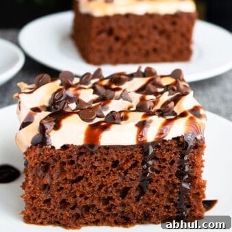 Easy Mexican Chocolate Cake With Brown Sugar Frosting and Ganache on White Plate