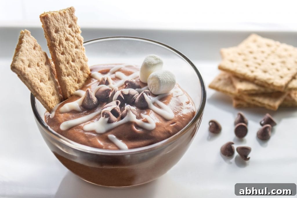 Chocolate S’more Yogurt Dip