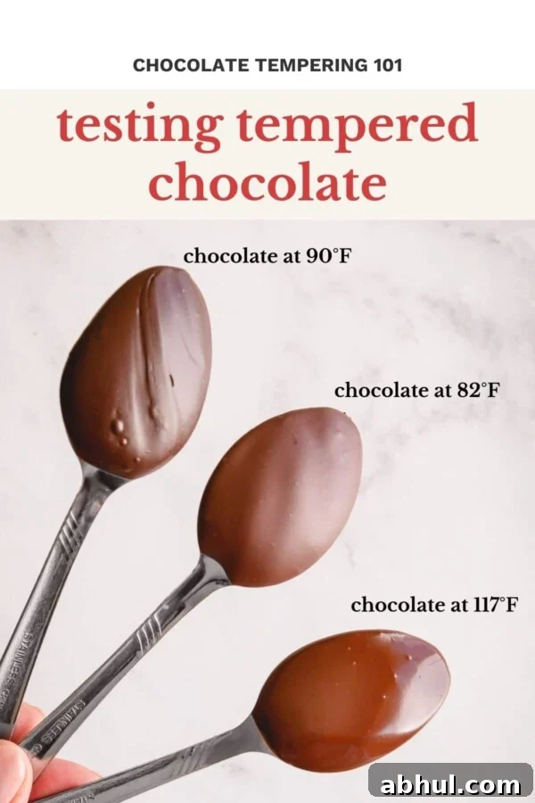 3 spoons dipped in chocolate set with different finishes.
