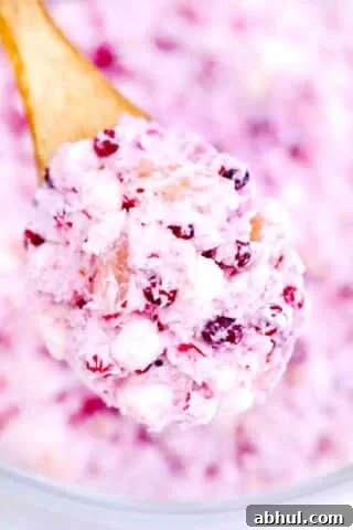 a spoonful of homemade millionaire cranberry salad