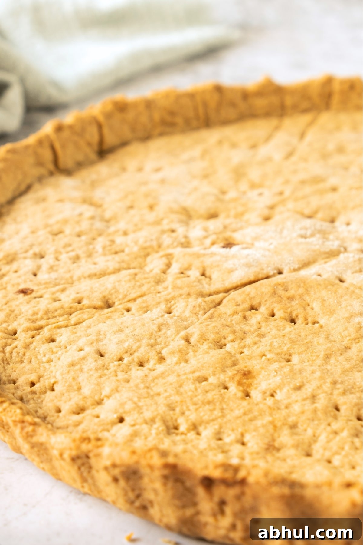 Up close shot of graham cracker crust.