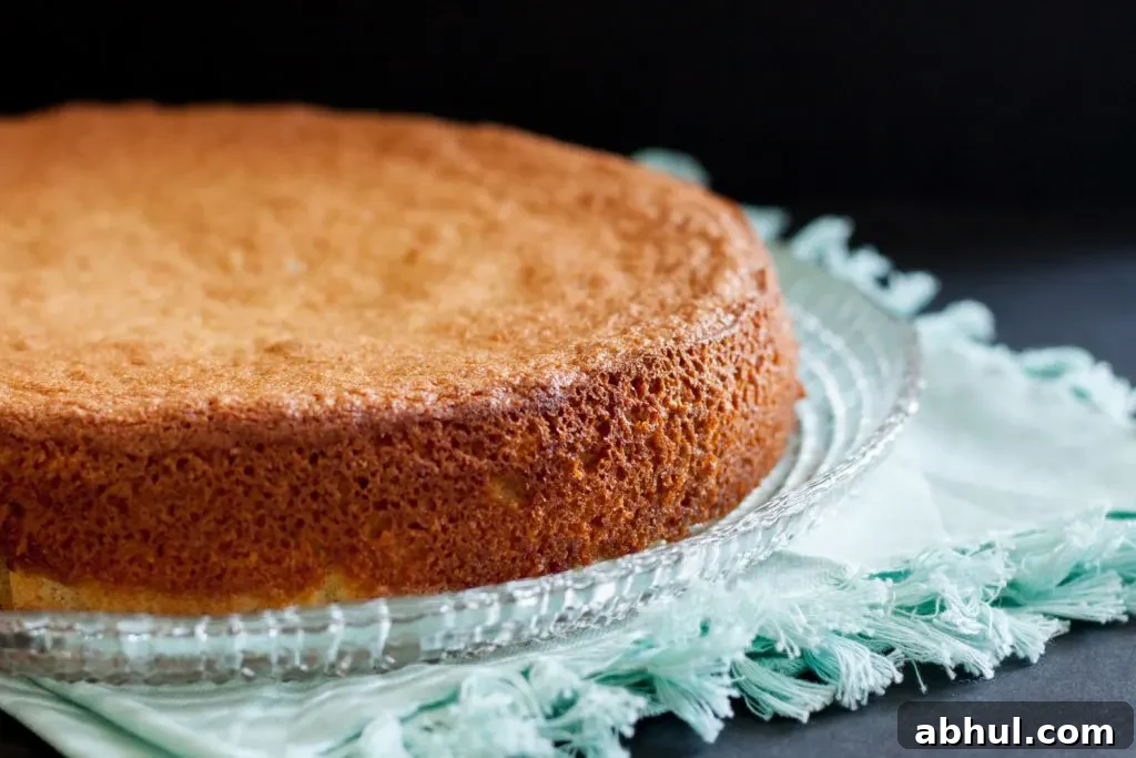 The Tarta de Santiago (Saint James Cake) is a classic Spanish dessert. This gluten free almond cake recipe is simple to follow and makes a delightful dessert or tea cake.