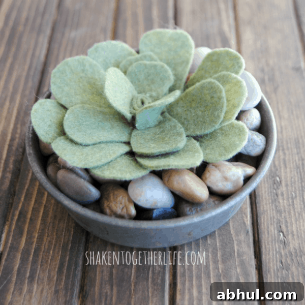 Felt succulents - quick and easy and adorable!
