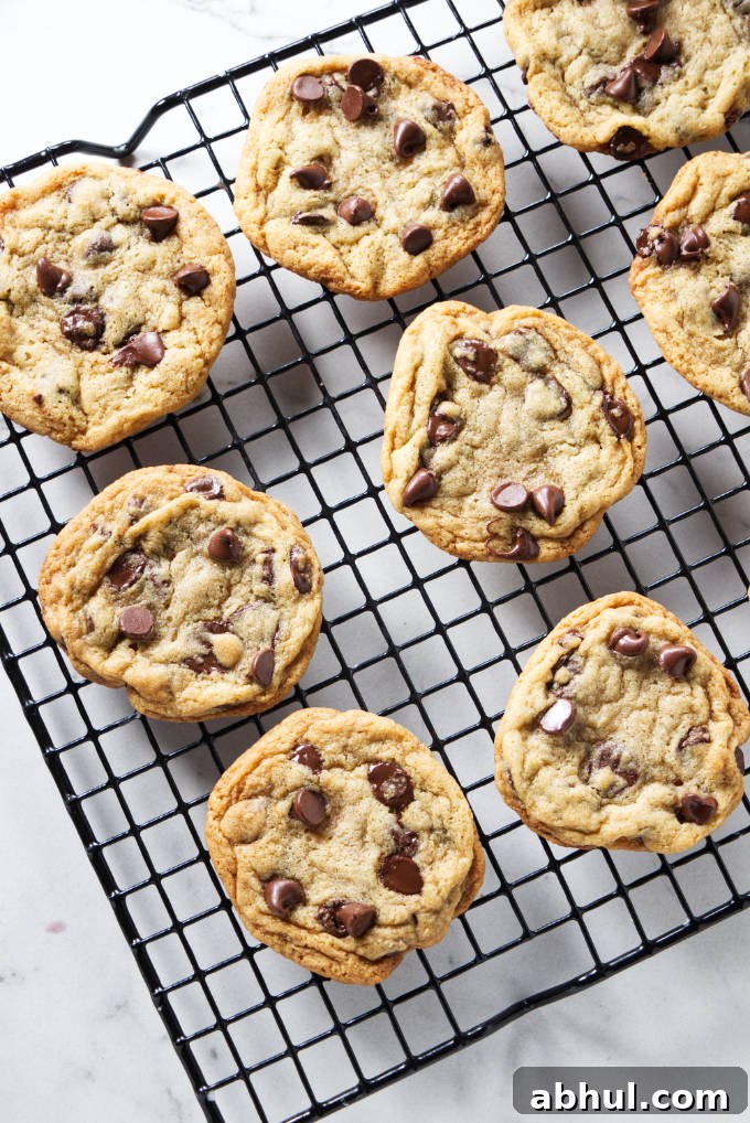 Malted chocolate chip cookies on a cooling rack.