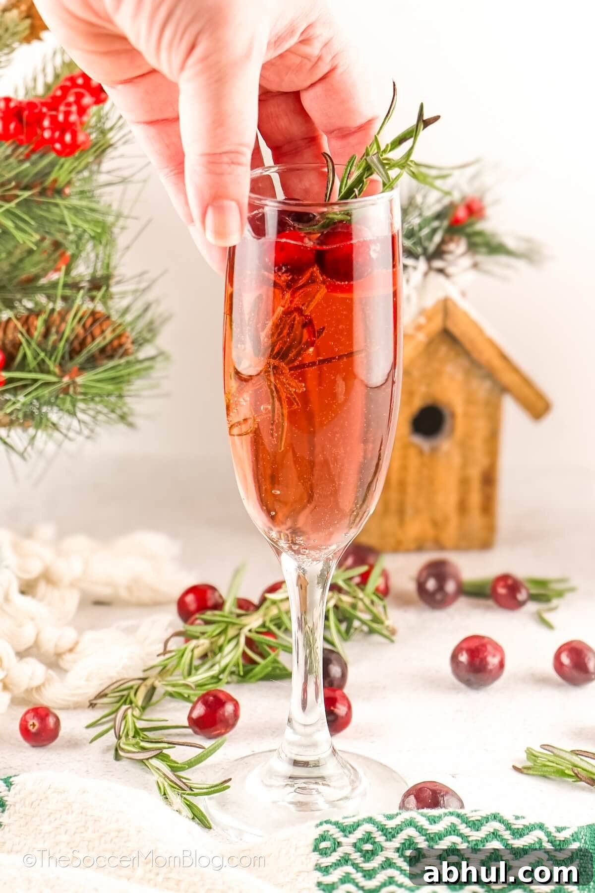 hand picking up a cranberry mimosa.