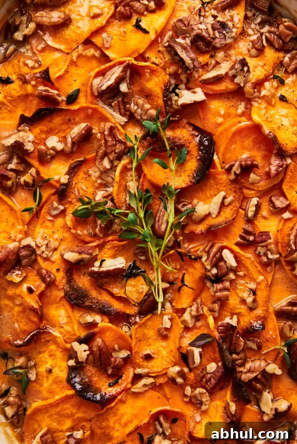 scalloped sweet potatoes in a baking dish topped with fresh herbs