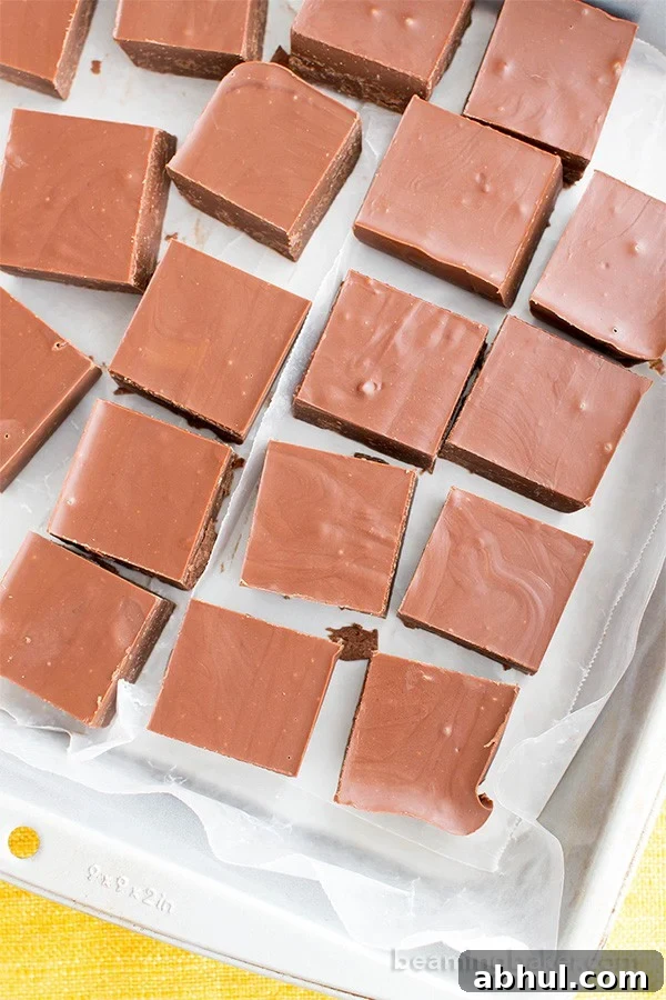2 Ingredient Vegan Chocolate Peanut Butter Freezer Fudge (V, GF, DF): a super easy recipe for thick, decadent chocolate peanut butter fudge. #Vegan #GlutenFree #DairyFree | BeamingBaker.com