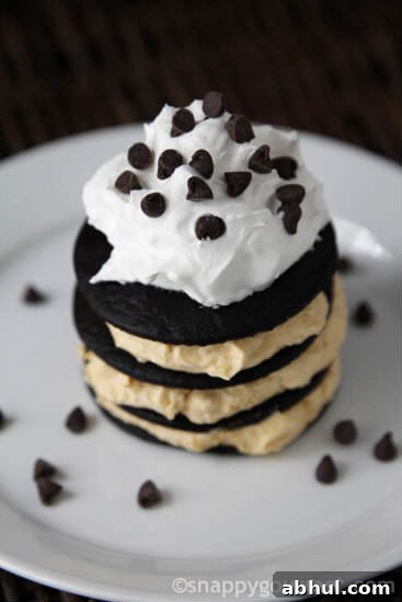 No-Bake Pumpkin Chocolate Chip Cake recipe | snappygourmet.com