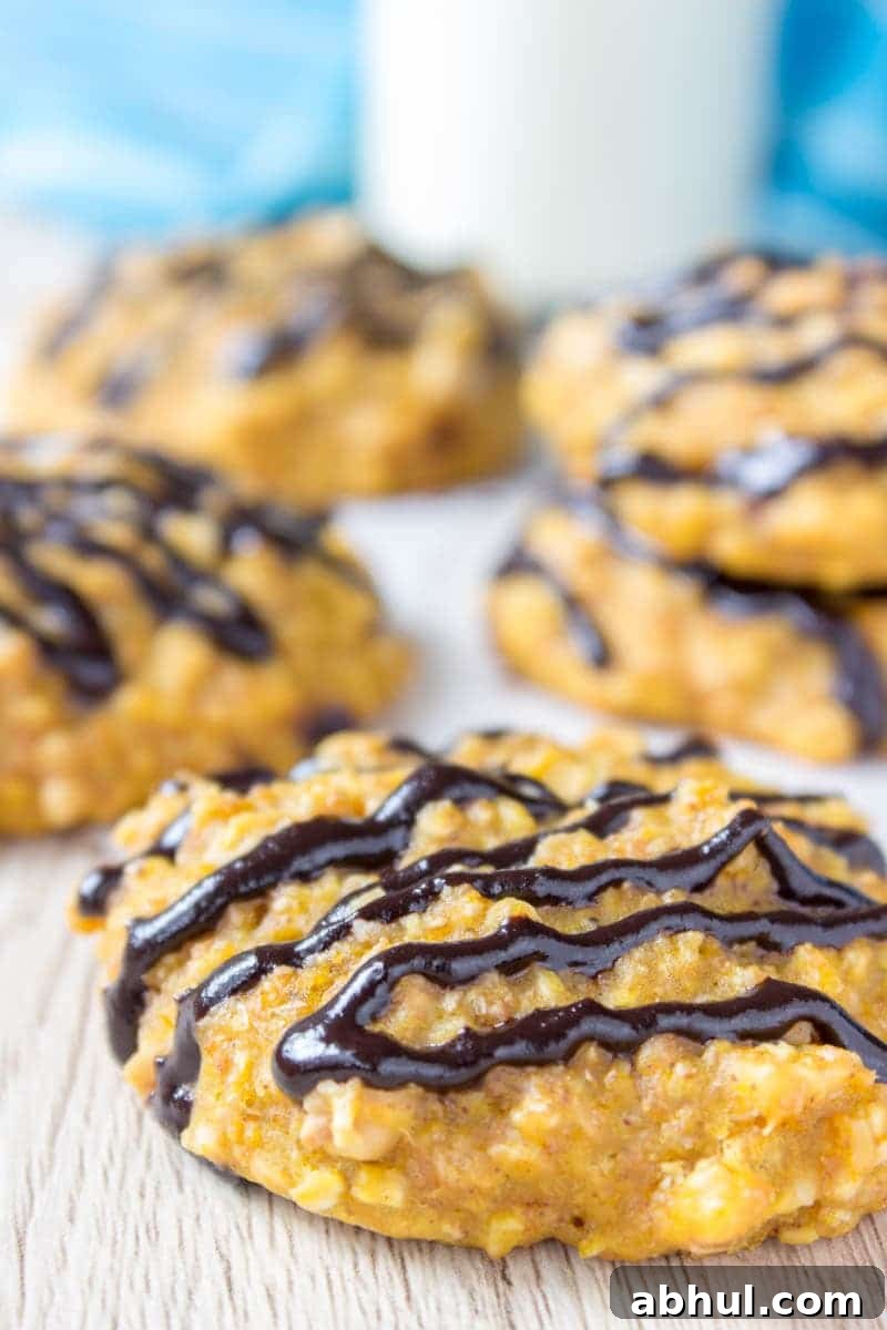 Pumpkin Oatmeal Cookies