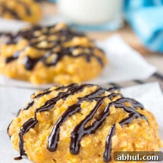 Pumpkin Oatmeal Cookies