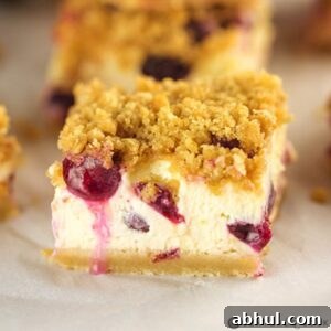 Blueberry Cheesecake Bars Recipe with Graham Cracker Crust 2 piece of blueberry cheesecake bars