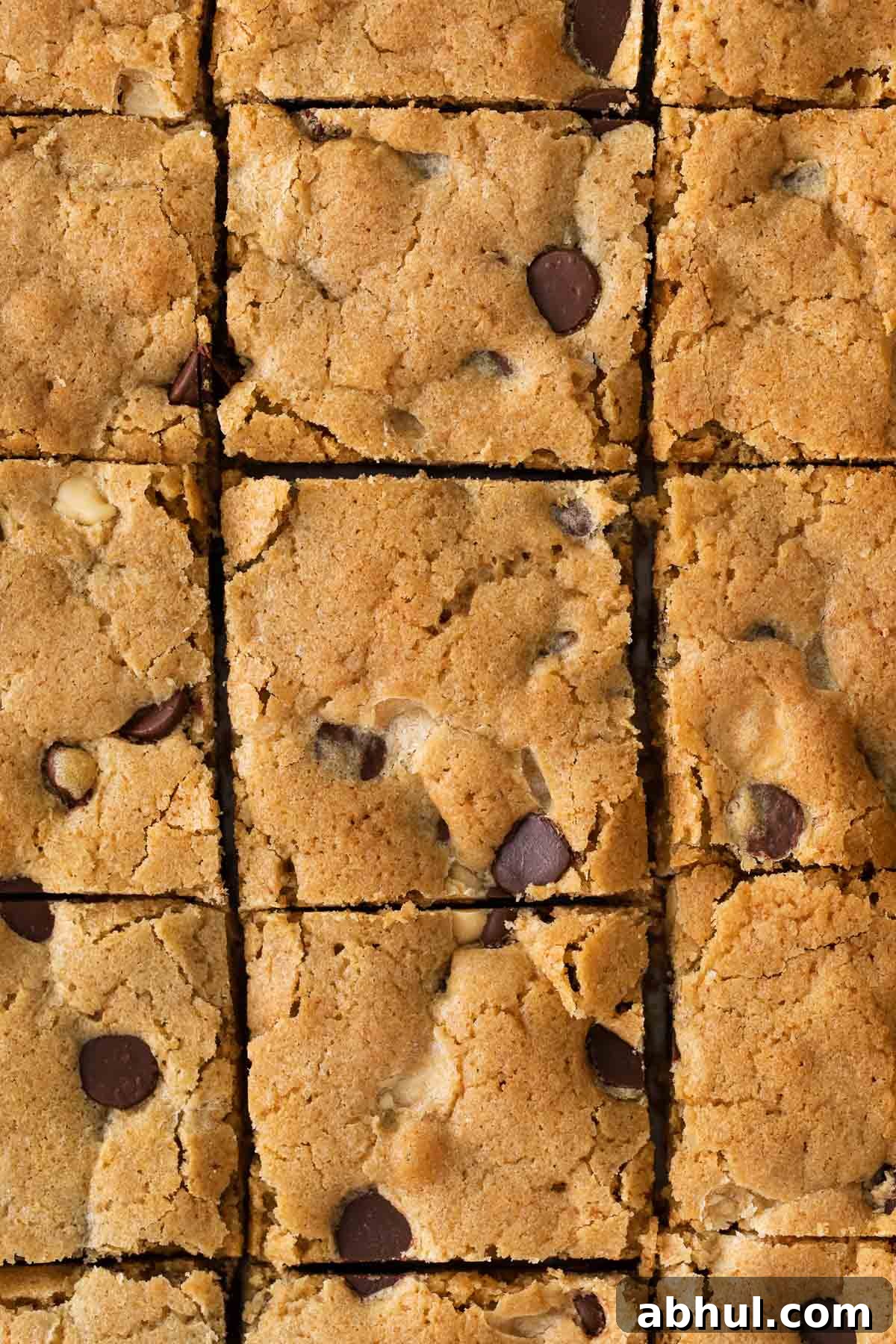 Gluten-Free Seven-Layer Bars Recipe — Chewy Chocolate Coconut Bars 16 A close up of blondies sliced in a sheet pan