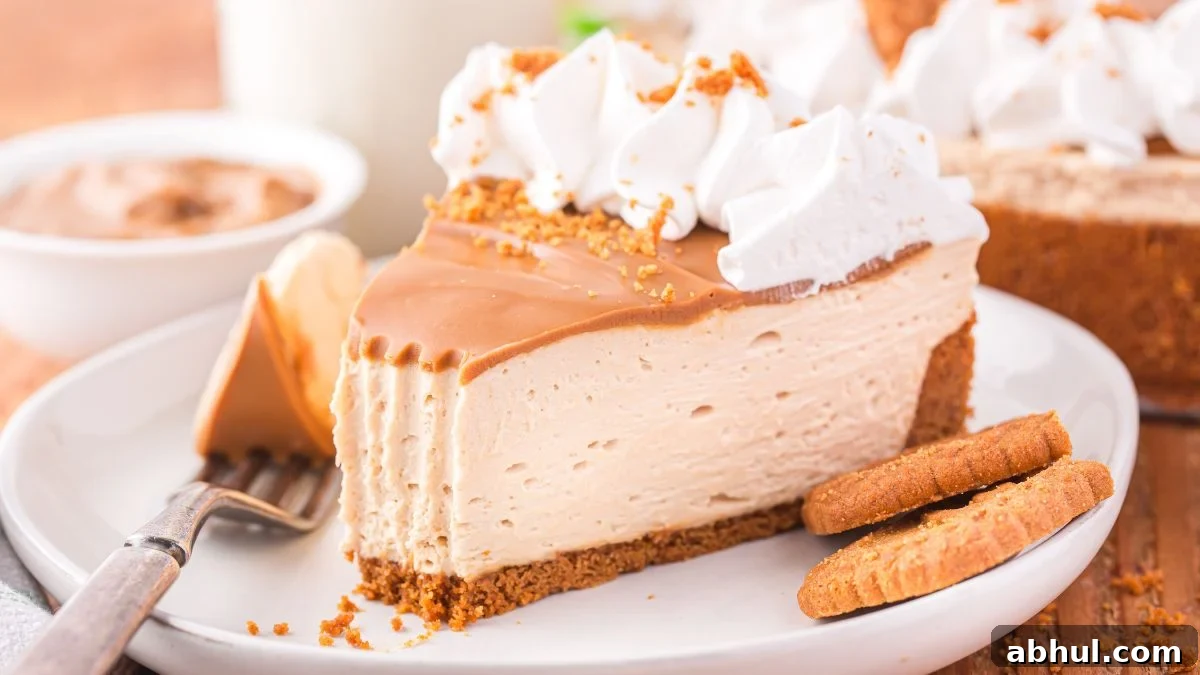 No-Bake Desserts That Satisfy Your Sweet Tooth Quickly 12 No bake biscoff cheesecake on a white plate.
