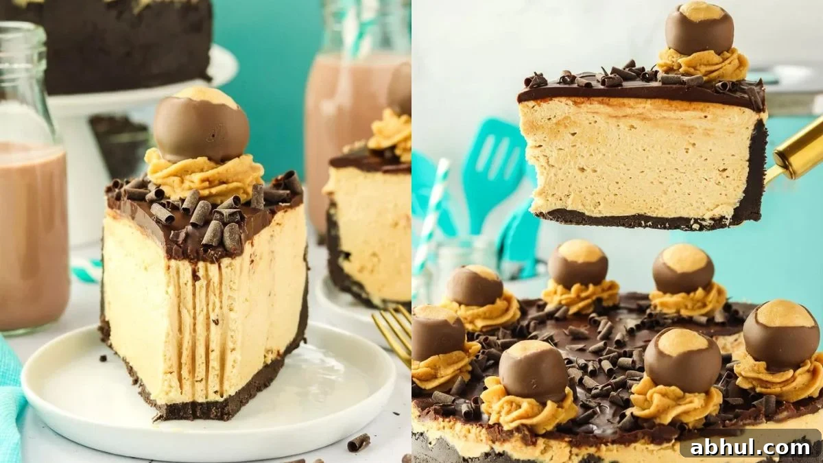 No-Bake Desserts That Satisfy Your Sweet Tooth Quickly 7 Buckeye cheesecake topped with chocolate candies