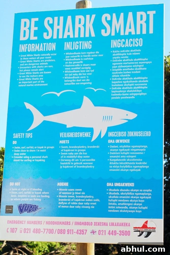 Llandudno Beach Guide: Sunday Activities and Things to Do 4 Warning sign at beach