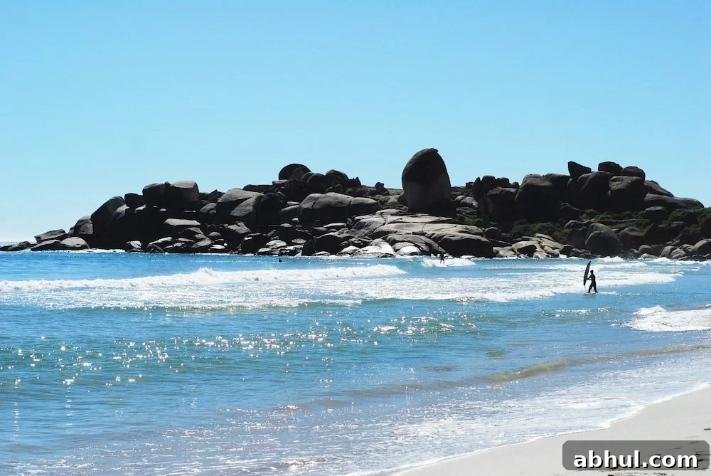 Llandudno Beach Guide: Sunday Activities and Things to Do 5 Rocks along the shore
