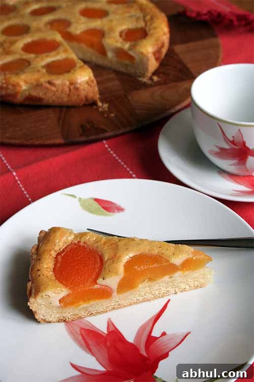 Try this homemade apricot tart. Developed in Germany - delicious anywhere.