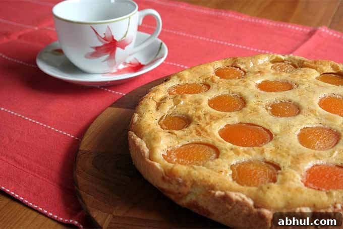 Apricot Tart, Ready to Serve