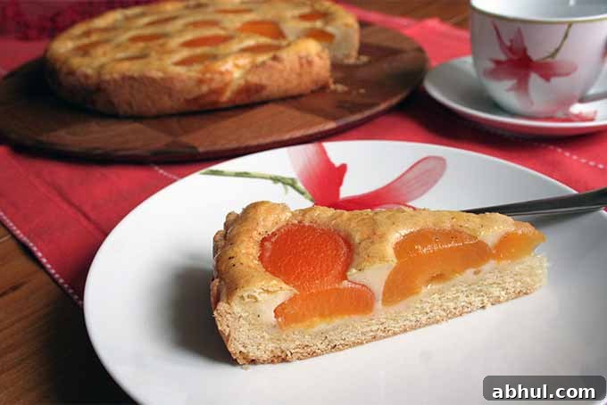 Mom's Apricot Tart