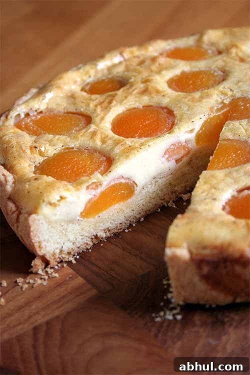 Fruit-filled apricot tart with minimal prep using canned apricots.