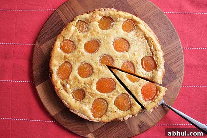 The Best German Apricot Tart Recipe