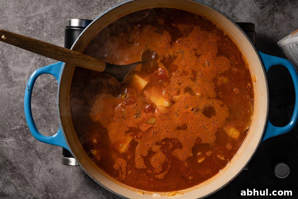 soup simmering on hot plate