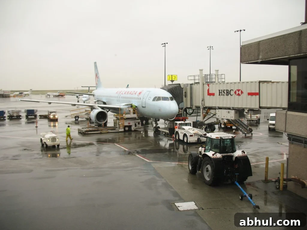 German Style Sauerkraut, rain at the Vancouver Airport
