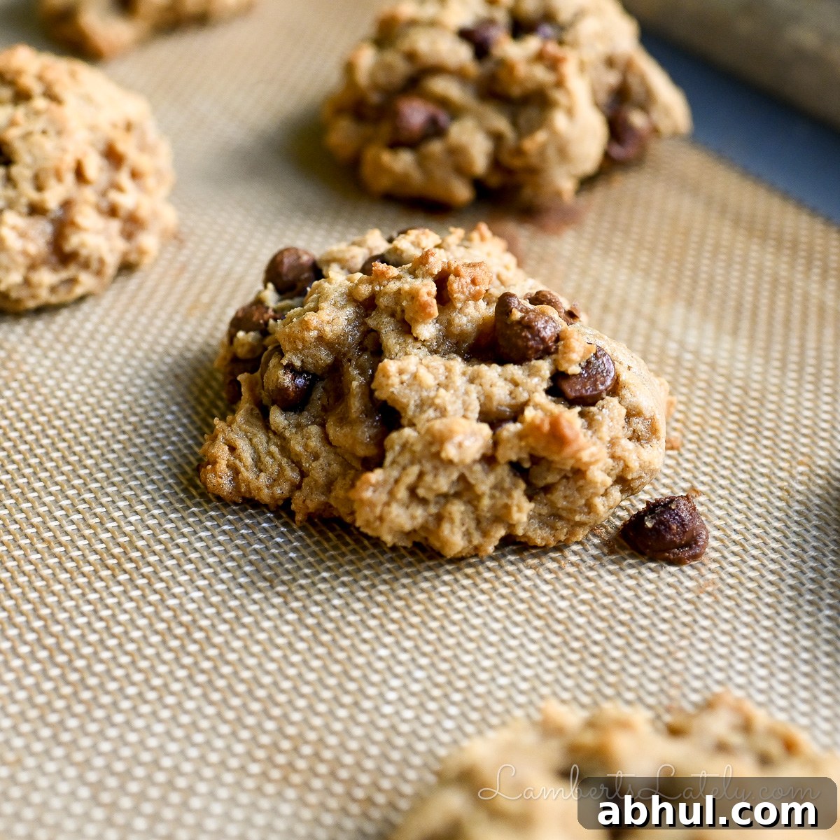peanut butter chocolate chip cookie on a baking sheet.