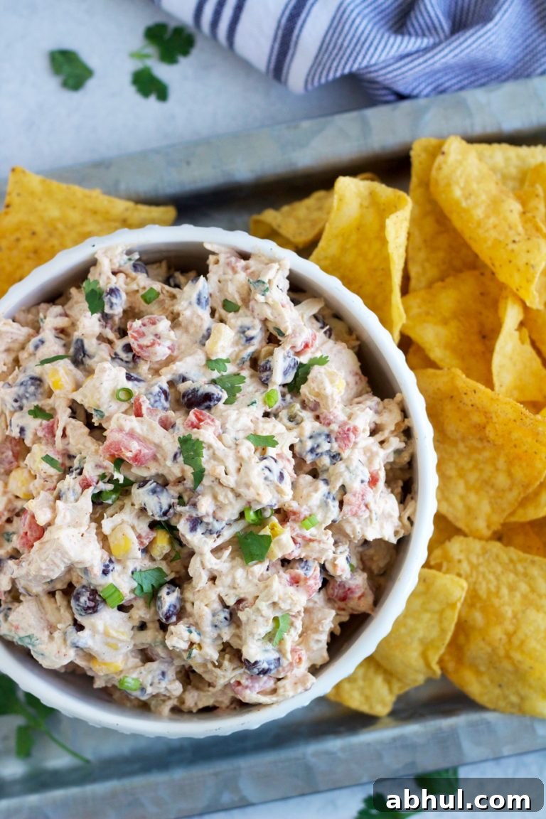 Chicken taco dip