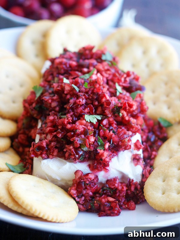 Cranberry salsa over cream cheese