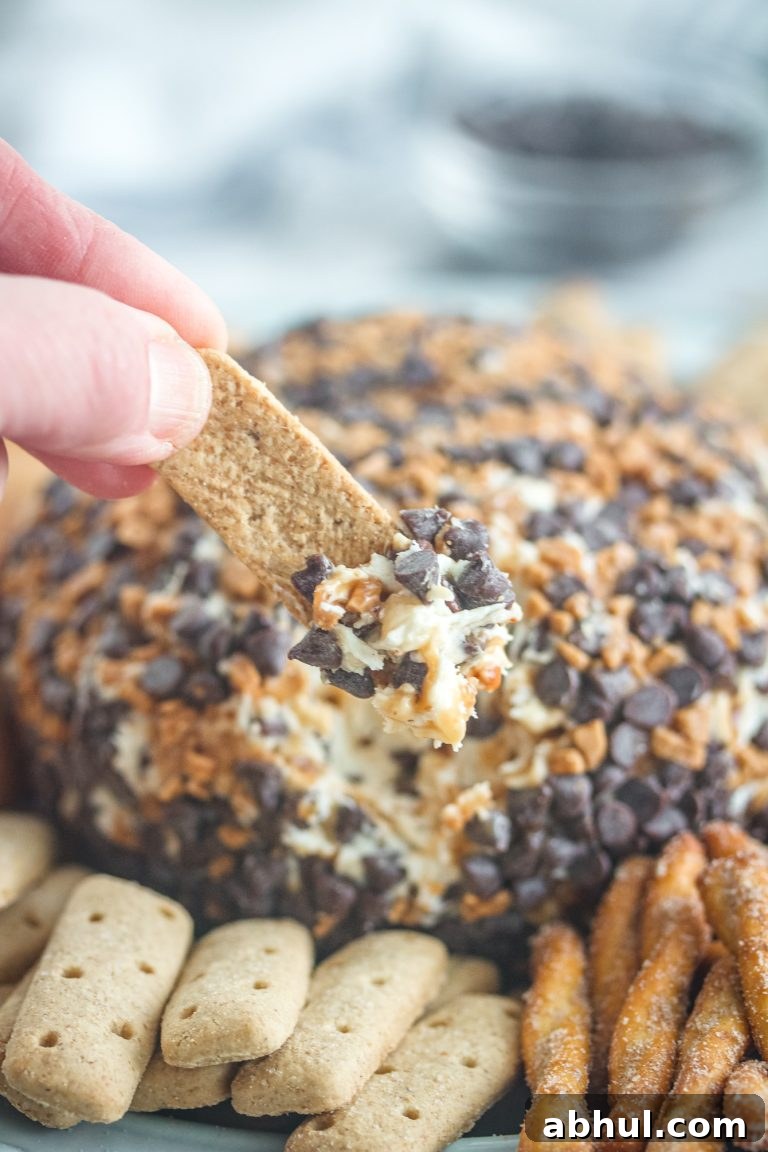 Chocolate chip cheese ball