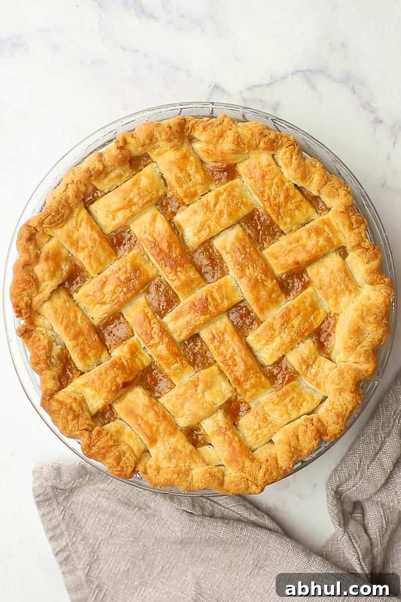 freshly baked pie with a golden lattice crust.