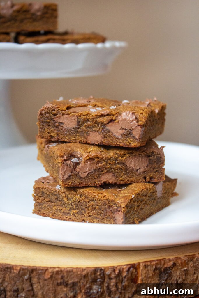 Cookie Butter Chocolate Chunk Bars