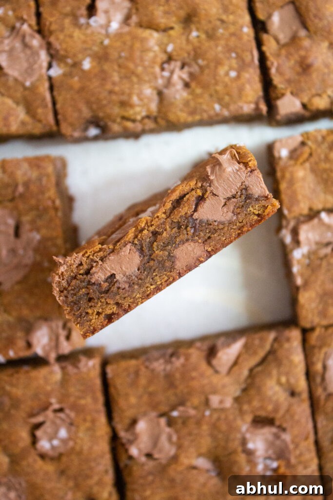 cookie butter bars with chocolate chunks