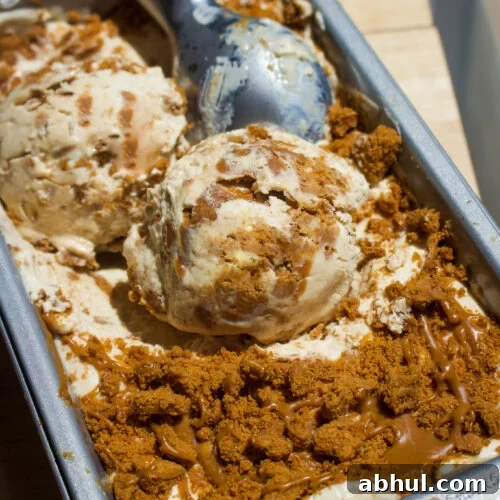 No Churn Biscoff Ice Cream