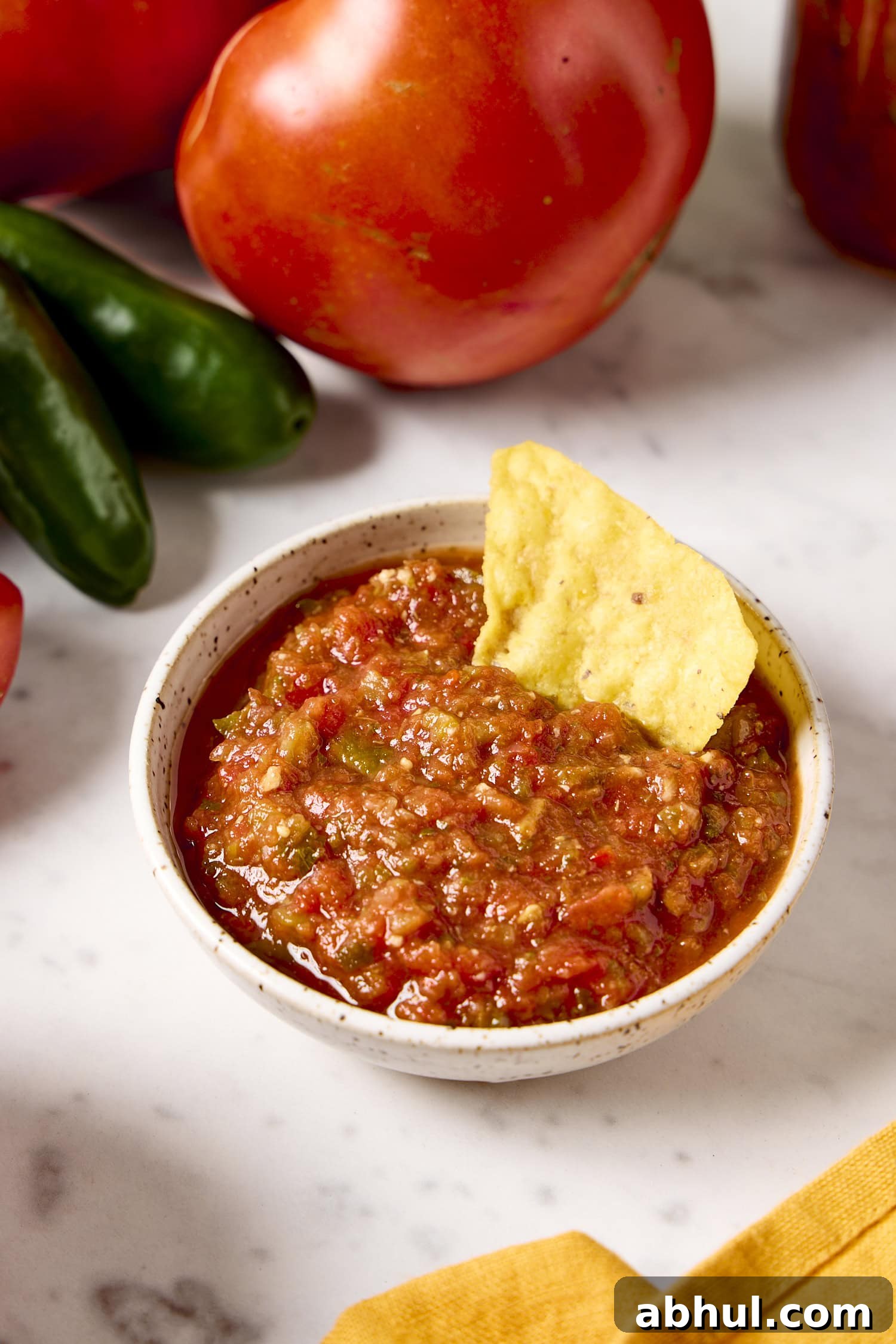 Small bowl filled with homemade salsa with a tortilla chip scooping up a portion.