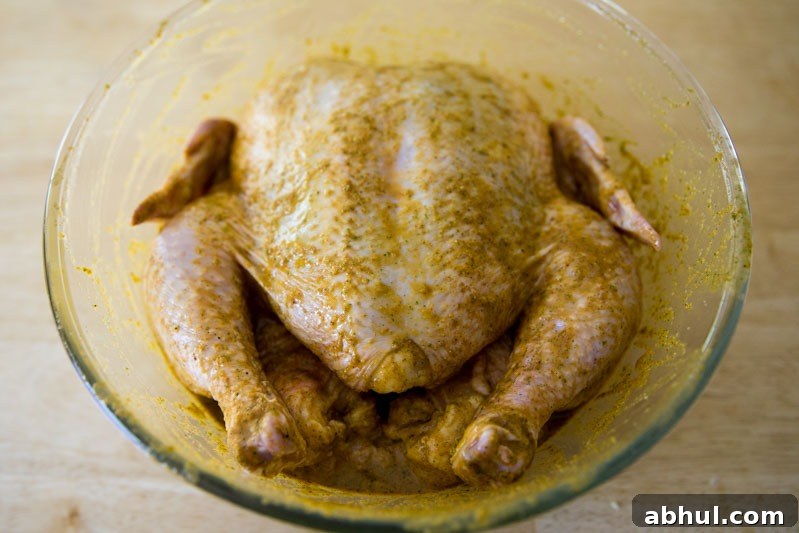 Rotisserie Peruvian Chicken on the Big Green Egg