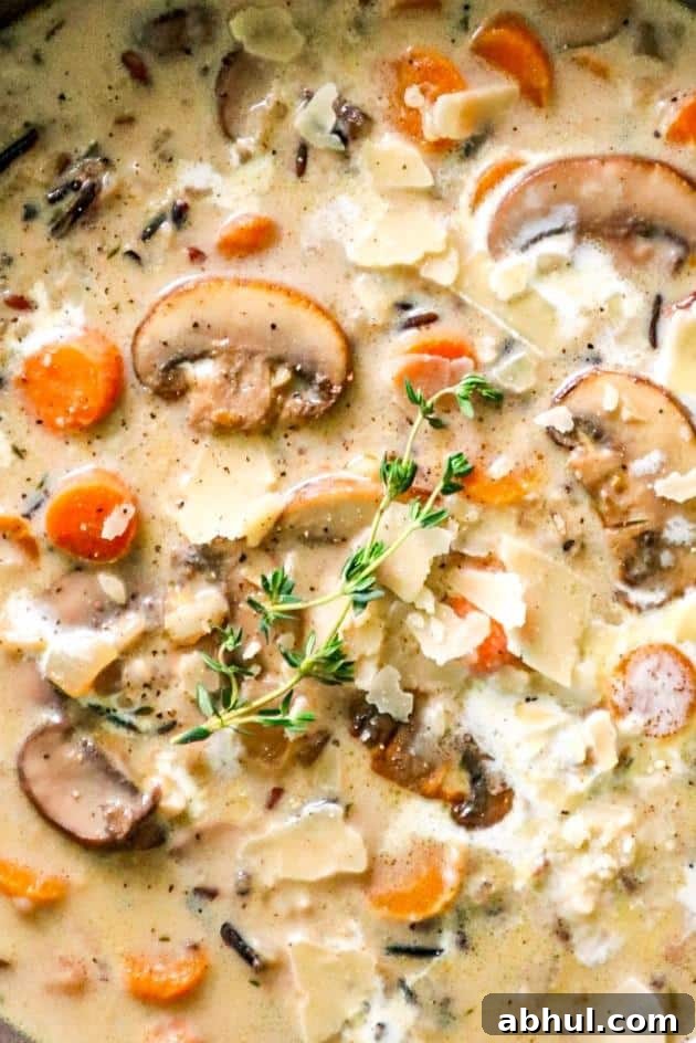 creamy mushroom parmesan and wild rice soup