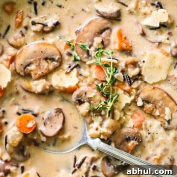 creamy parmesan wild rice and mushroom soup