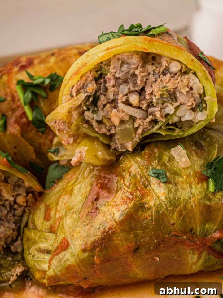 close up of the inside of a traditional cabbage rolls