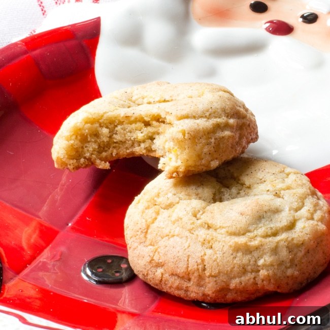 Two snickerdoodle cookies on a Santa plate, with one bite taken out of one of the cookies.