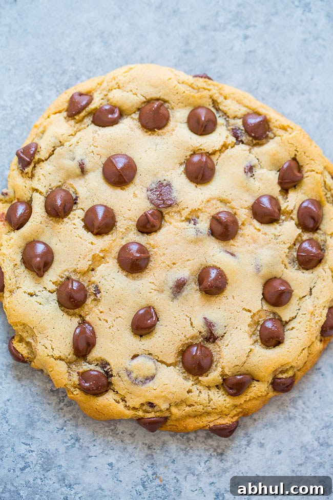 Giant Chocolate Chip Cookie For One